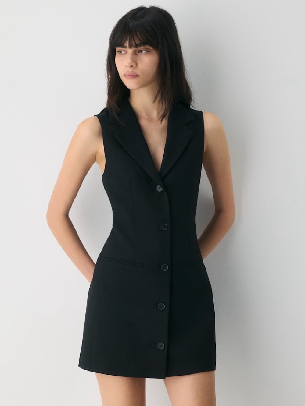 Aritzia - Babaton mastermind dress